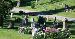 Cremation Services of Western Connecticut